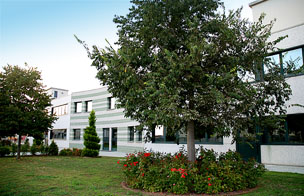 Tipografia Mandruzzato _ L'Azienda